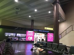 -谢列梅捷沃国际机场