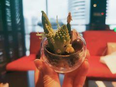 -广州富力君悦大酒店·关系酒廊
