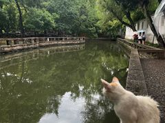 -西园戒幢律寺