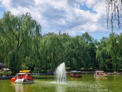 -南宫五洲植物乐园