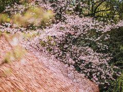-中国茶叶博物馆(双峰馆区)