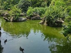 -东湖落雁景区