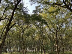 -黄公望隐居地