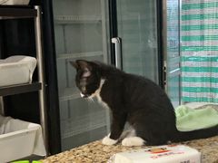 -巴音谷休闲度假山庄