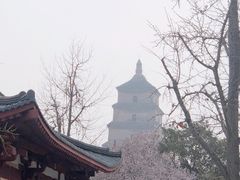 -大雁塔北广场音乐喷泉