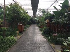 -汤山翠谷生态餐厅