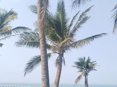 -西秀海滩公园