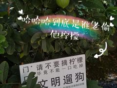 -青果巷历史文化街区