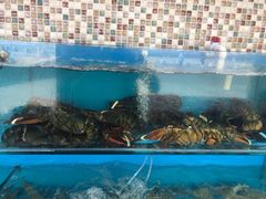 -港畔赶海蒸汽海鲜烧烤自助(仙螺岛店)