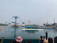 -秦皇岛乐岛海洋王国