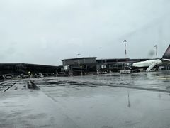 -米兰-马尔彭萨机场