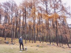 -硗碛藏寨·神木垒景区