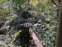 -广州市白云山风景名胜区