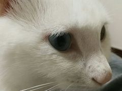 -果城龙凤瓦罐煨汤馆(新豪天地店)