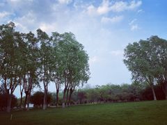 -石家庄市植物园