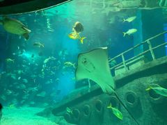 -福州罗源湾海洋世界旅游区