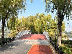 -大兴滨河森林公园