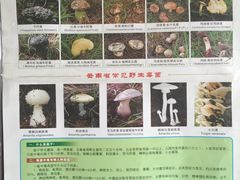 -双喜农庄·菌香园(安居家园店)