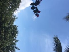 -三亚珠江南田温泉度假区