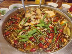 -乡土特色.冷锅鱼.牦牛肉汤锅