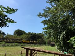 -济州森林小火车生态公园