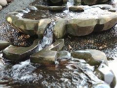 -成都市活水公园