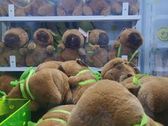 -天河城购物中心