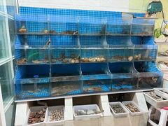 -宾朋海鲜特色美食餐厅·纯手工鲅鱼水饺(兴海路店)