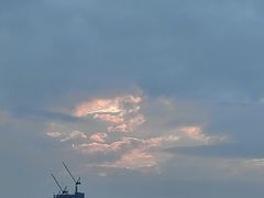 -深圳湾公园(南山区)