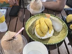 -榴莲BB 四季果园