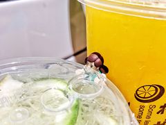 -一些柠檬一些茶(西村店)