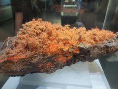 -湖南省地质博物馆