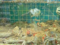 -兆辉木炭海鲜烧烤·海鲜小炒