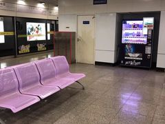 -上海动物园(地铁站)