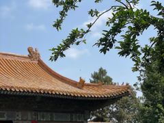 -故宫博物院(故宫)