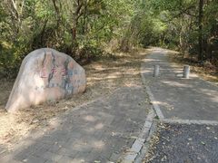 -青龙山国家森林公园