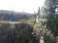 iphone_upload_pic-鹰潭站