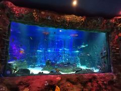 -沈阳海洋探索中心