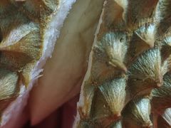 -果乐多生鲜超市(宏业广场店)