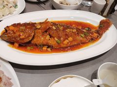 -燕春楼(海河华鼎店)