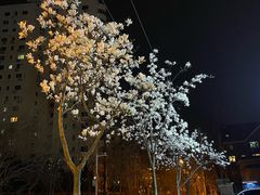 -燕儿岛山公园