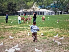 -银树楼(紫玉山庄东区店)