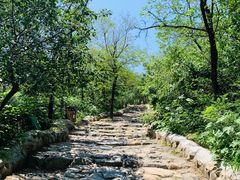 -阳台山自然风景区