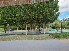 -永定河休闲森林公园