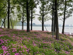 -西山漾湿地公园