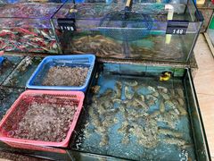 -玫瑰海岸文化旅游度假区