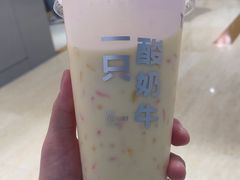 -一只酸奶牛(时代天街A馆店)