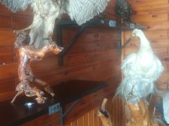 -南京金牛湖风景区