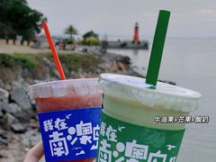 -南澳岛打卡果汁冰公司