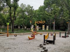 -新江湾城公园